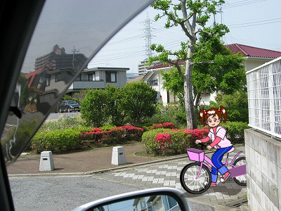 運転者から見た場合の写真